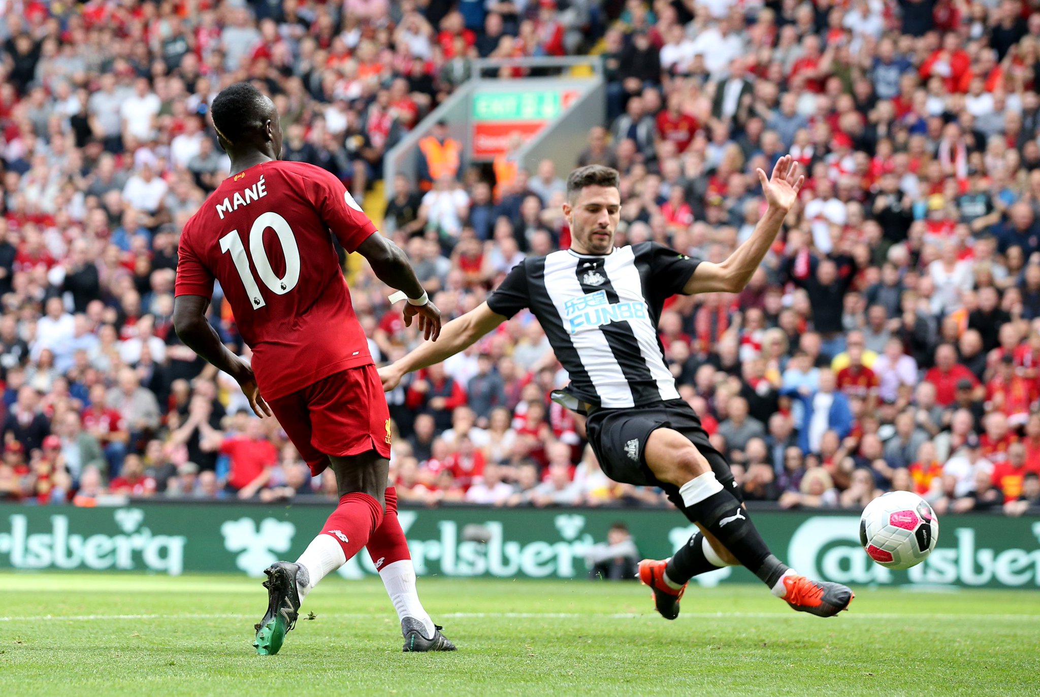 灰熊雖努力 灰熊雖努力