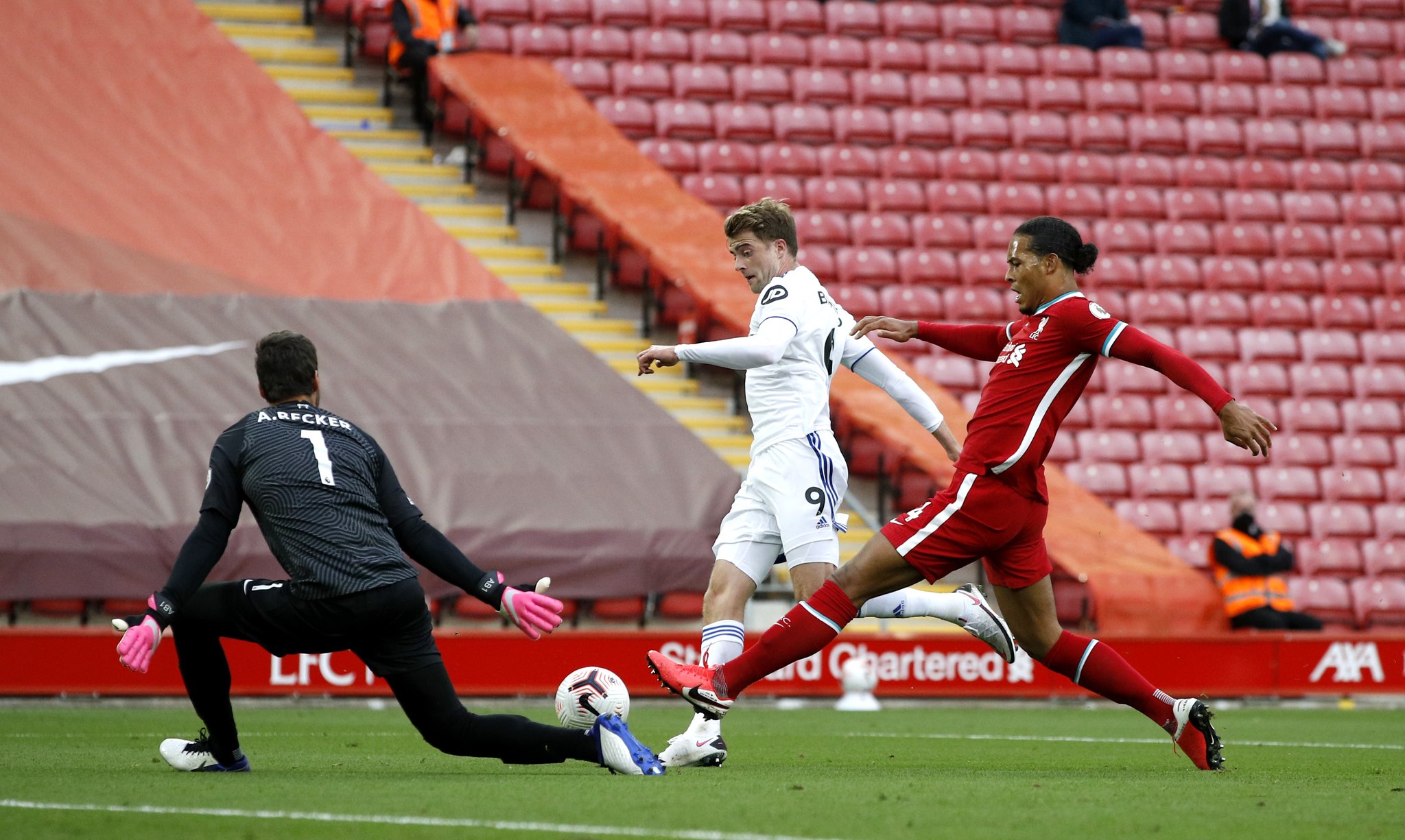 迷本以为 迷本以为