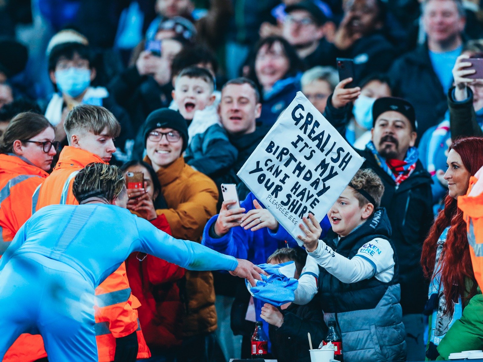 梅里诺的双 梅里诺的双